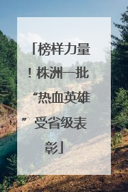 榜样力量！株洲一批“热血英雄”受省级表彰