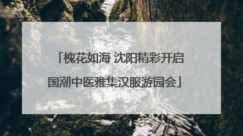 槐花如海 沈阳精彩开启国潮中医雅集汉服游园会