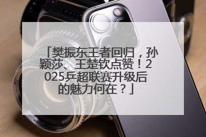 樊振东王者回归，孙颖莎、王楚钦点赞！2025乒超联赛升级后的魅力何在？