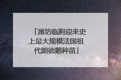 潍坊临朐迎来史上最大规模法国祖代朗德鹅种苗