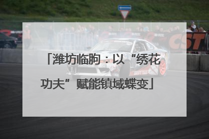 潍坊临朐：以“绣花功夫”赋能镇域蝶变