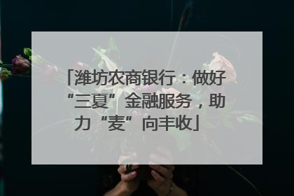 潍坊农商银行：做好“三夏”金融服务，助力“麦”向丰收