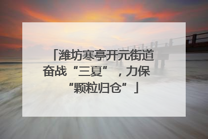 潍坊寒亭开元街道奋战“三夏”，力保“颗粒归仓”