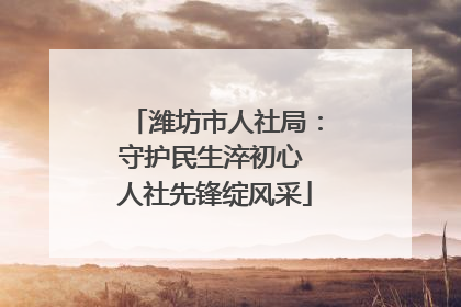 潍坊市人社局：守护民生淬初心 人社先锋绽风采