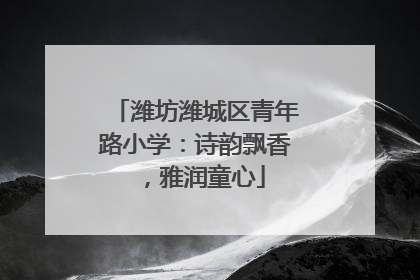 潍坊潍城区青年路小学：诗韵飘香，雅润童心
