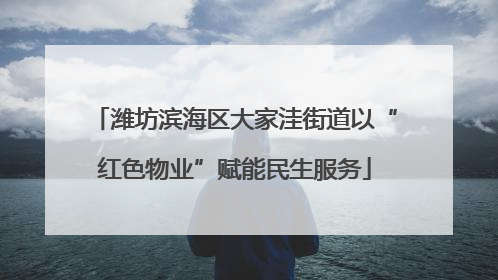 潍坊滨海区大家洼街道以“红色物业”赋能民生服务