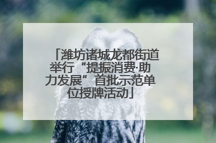 潍坊诸城龙都街道举行“提振消费·助力发展”首批示范单位授牌活动