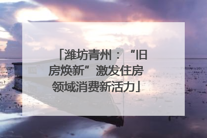 潍坊青州：“旧房焕新”激发住房领域消费新活力