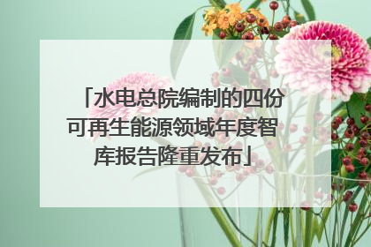 水电总院编制的四份可再生能源领域年度智库报告隆重发布