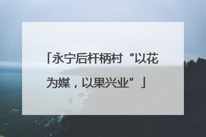 永宁后杆柄村“以花为媒，以果兴业”