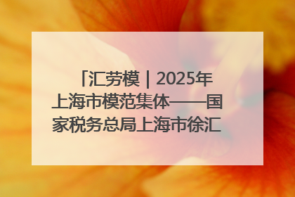 汇劳模｜2025年上海市模范集体——国家税务总局上海市徐汇区税务局第一税务所