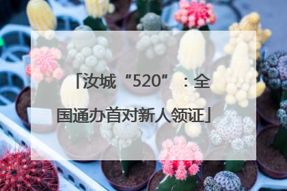汝城“520”：全国通办首对新人领证