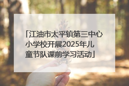 江油市太平镇第三中心小学校开展2025年儿童节队课前学习活动