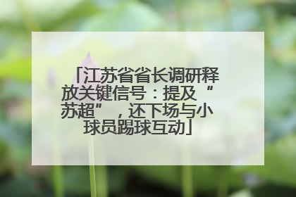 江苏省省长调研释放关键信号：提及“苏超”，还下场与小球员踢球互动