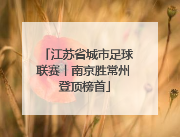 江苏省城市足球联赛丨南京胜常州 登顶榜首
