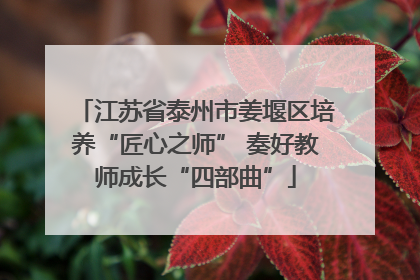 江苏省泰州市姜堰区培养“匠心之师” 奏好教师成长“四部曲”