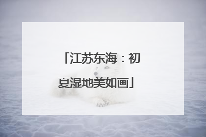 江苏东海：初夏湿地美如画