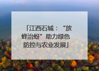 江西石城：“放蜂治蚜”助力绿色防控与农业发展