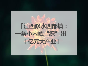 江西修水四都镇：一条小内裤“织”出十亿元大产业