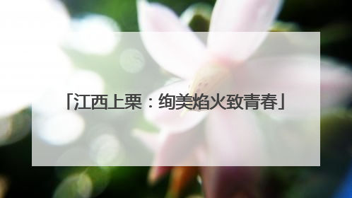 江西上栗：绚美焰火致青春