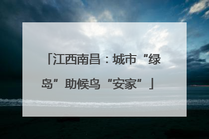 江西南昌：城市“绿岛”助候鸟“安家”