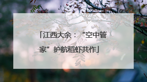 江西大余：“空中管家”护航稻虾共作