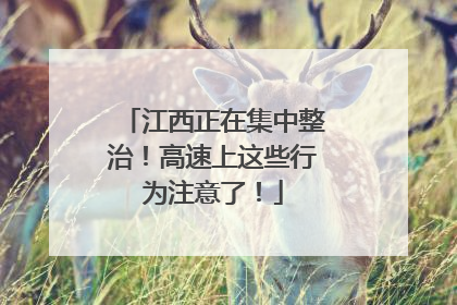 江西正在集中整治！高速上这些行为注意了！
