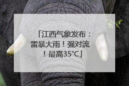 江西气象发布：雷暴大雨！强对流！最高35℃