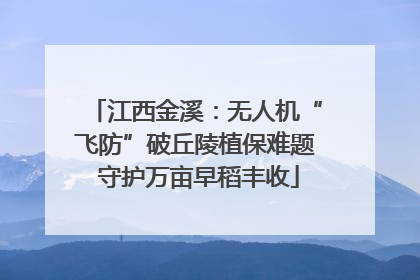 江西金溪：无人机“飞防”破丘陵植保难题 守护万亩早稻丰收
