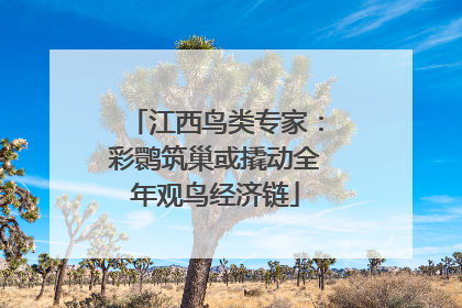 江西鸟类专家：彩鹮筑巢或撬动全年观鸟经济链