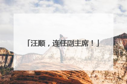 汪顺，连任副主席！