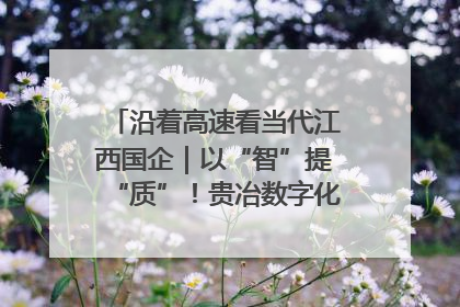沿着高速看当代江西国企｜以“智”提“质”！贵冶数字化转型迈出新步伐