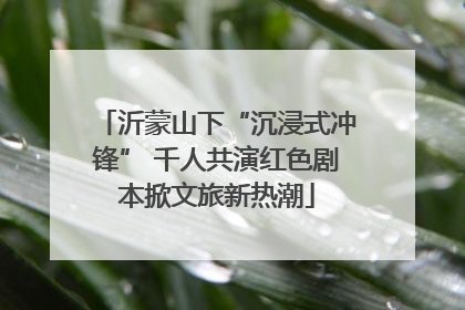 沂蒙山下“沉浸式冲锋” 千人共演红色剧本掀文旅新热潮