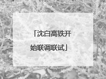 沈白高铁开始联调联试
