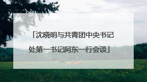 沈晓明与共青团中央书记处第一书记阿东一行会谈