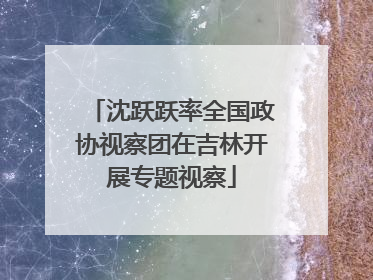 沈跃跃率全国政协视察团在吉林开展专题视察