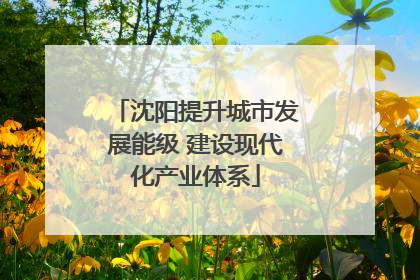 沈阳提升城市发展能级 建设现代化产业体系