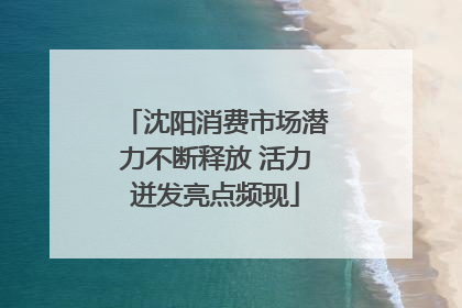 沈阳消费市场潜力不断释放 活力迸发亮点频现