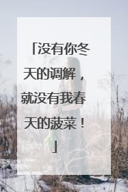 没有你冬天的调解，就没有我春天的菠菜！