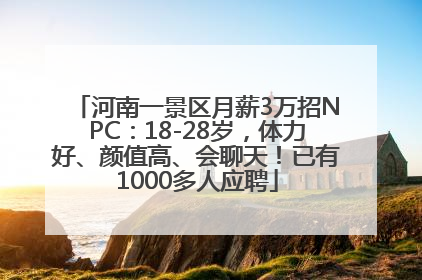 河南一景区月薪3万招NPC：18-28岁，体力好、颜值高、会聊天！已有1000多人应聘