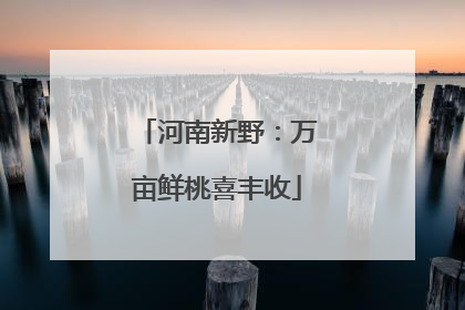 河南新野：万亩鲜桃喜丰收