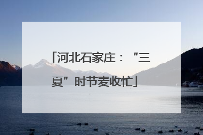 河北石家庄：“三夏”时节麦收忙