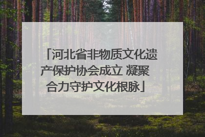 河北省非物质文化遗产保护协会成立 凝聚合力守护文化根脉