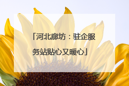 河北廊坊：驻企服务站贴心又暖心