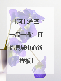 河北鸡泽“一品一播”打造县域电商新样板