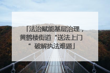 法治赋能基层治理，黄鹤楼街道“送法上门”破解执法难题