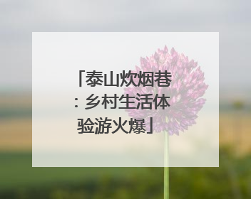 泰山炊烟巷：乡村生活体验游火爆