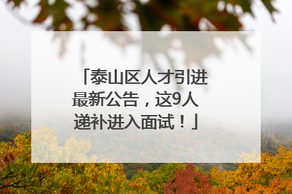泰山区人才引进最新公告，这9人递补进入面试！