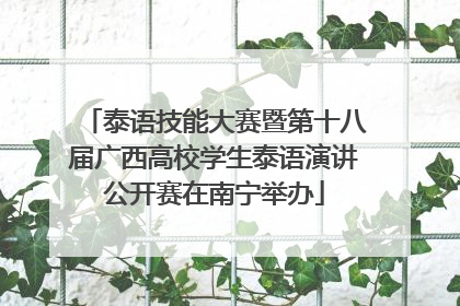 泰语技能大赛暨第十八届广西高校学生泰语演讲公开赛在南宁举办