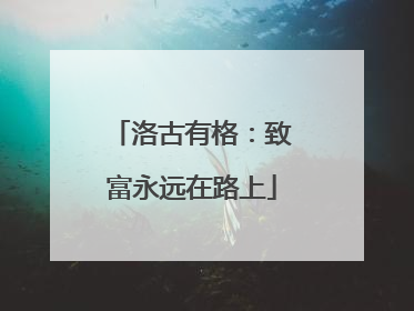 洛古有格：致富永远在路上